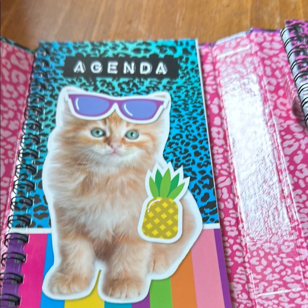 Scholastic Colorful Cat Agenda Notebook